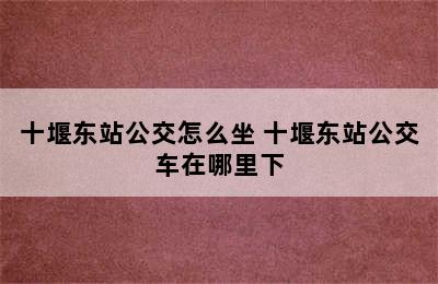 十堰东站公交怎么坐 十堰东站公交车在哪里下